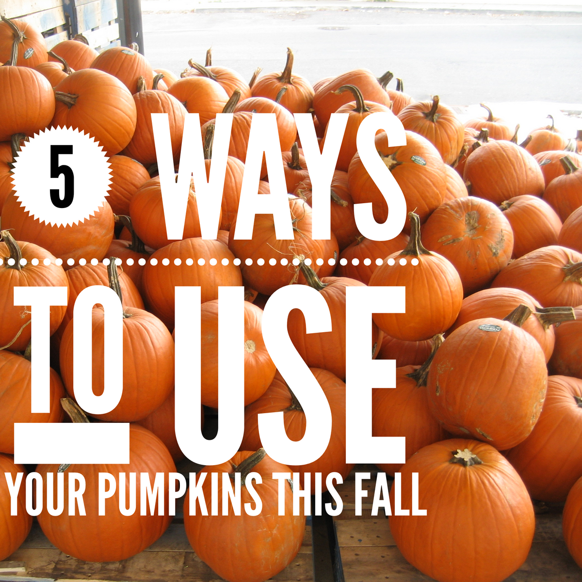 five ways to use your pumpkins this fall – Revel Boutique