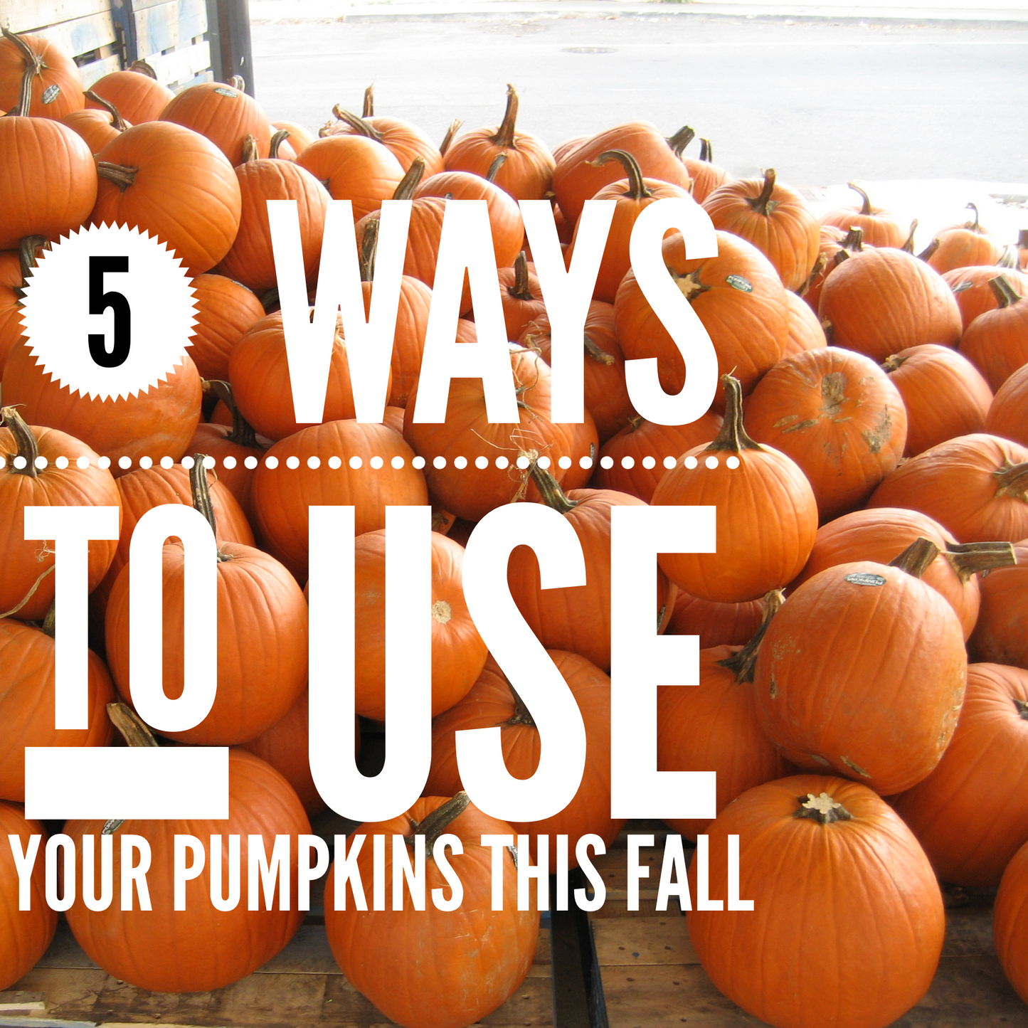 five ways to use your pumpkins this fall