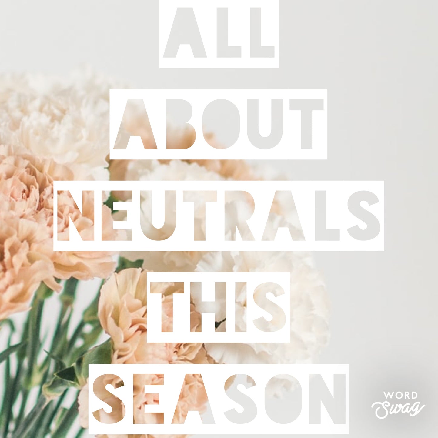 All About Neutrals-author Allie Hickam