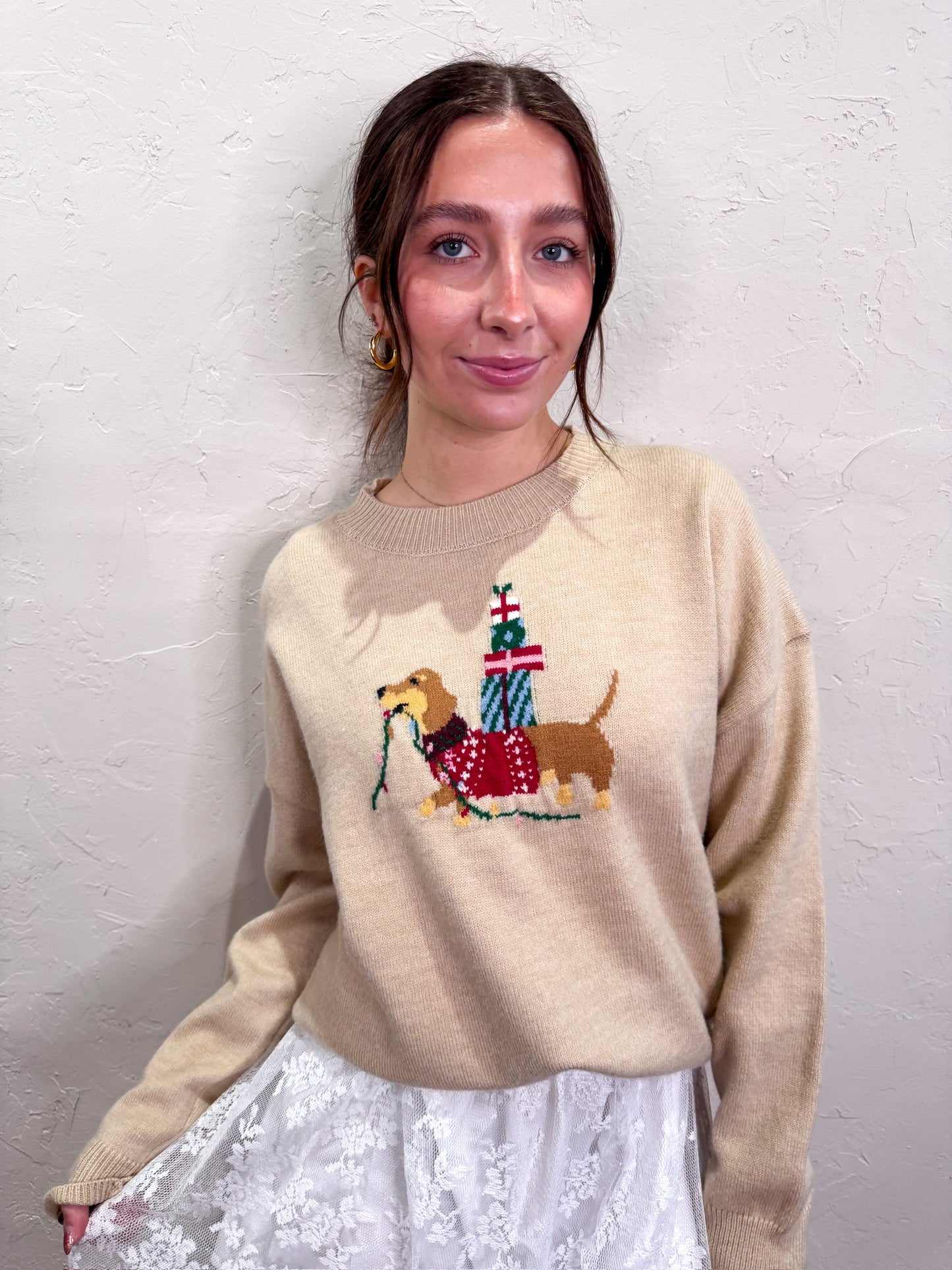 Happy Holidays Dog Sweater