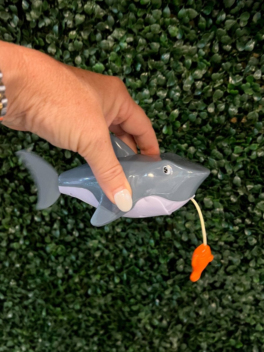 Pull - String Shark - Revel Boutique