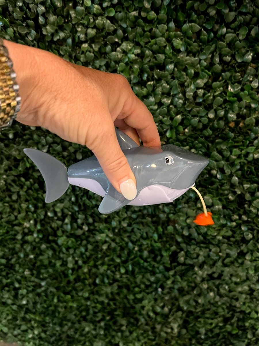 Pull - String Shark - Revel Boutique