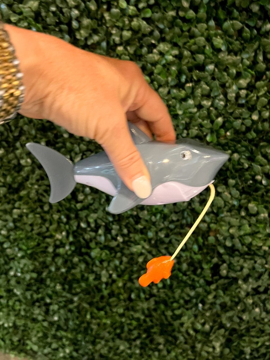 Pull - String Shark - Revel Boutique