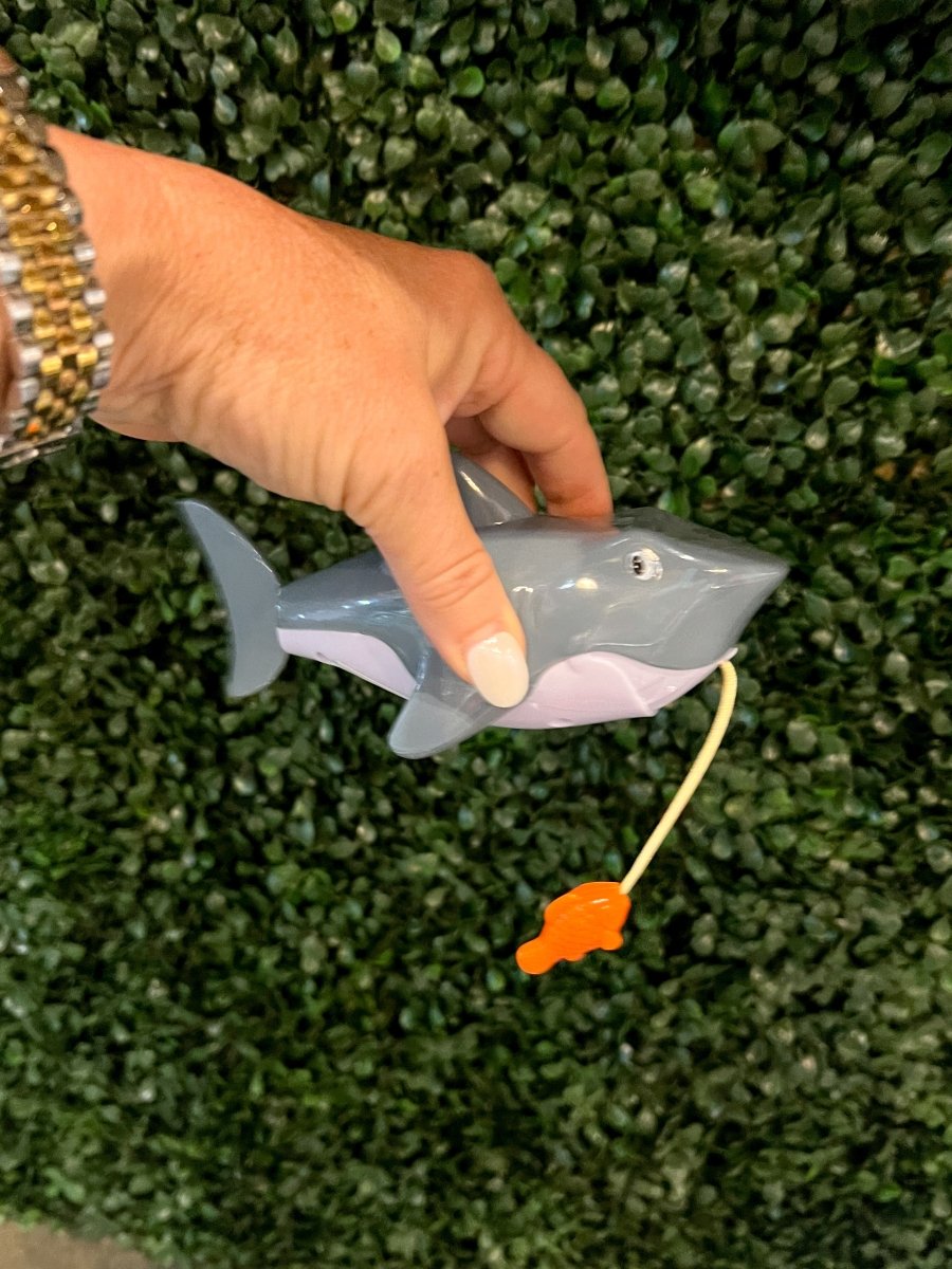 Pull - String Shark - Revel Boutique