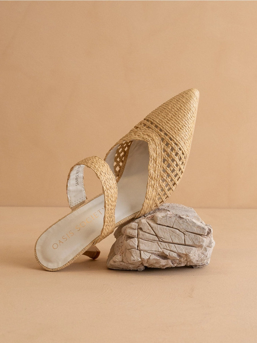 Tia Raffia Pointy - Toe Heel - Revel Boutique