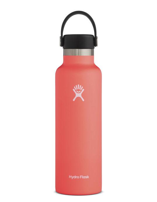 Load image into Gallery viewer, Hydro Flask 21 oz Standard Mouth - Revel Boutique
