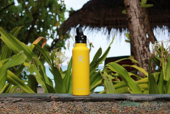Load image into Gallery viewer, Hydroflask 24 oz Standard Bottle - Revel Boutique
